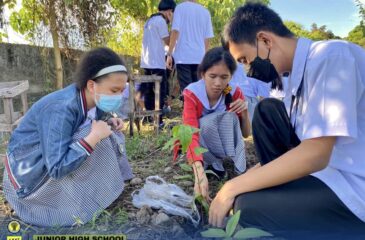 Grade 10 students conducts tree-planting activity to promote ecological awareness.
